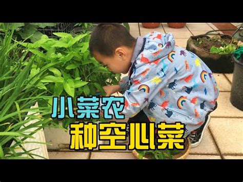 家中種菜